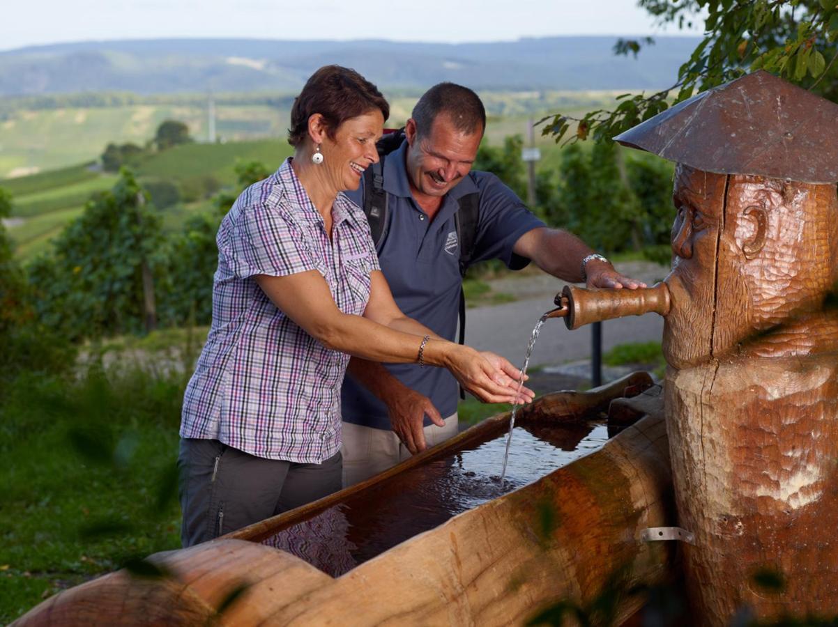 Weingut Christoffel Apartment Kovenig Luaran gambar